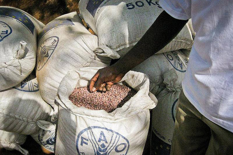 Chỉ số giá lương thực của FAO xuống thấp nhất trong vòng 4 năm qua